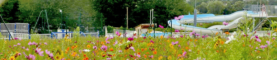 camping nature en Charente Maritime : Au milieu des vignes