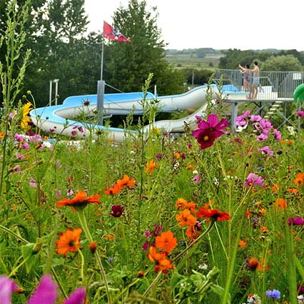 Camping 3 étoiles parc aquatique piscine | Royan la Palmyre Charente Maritime