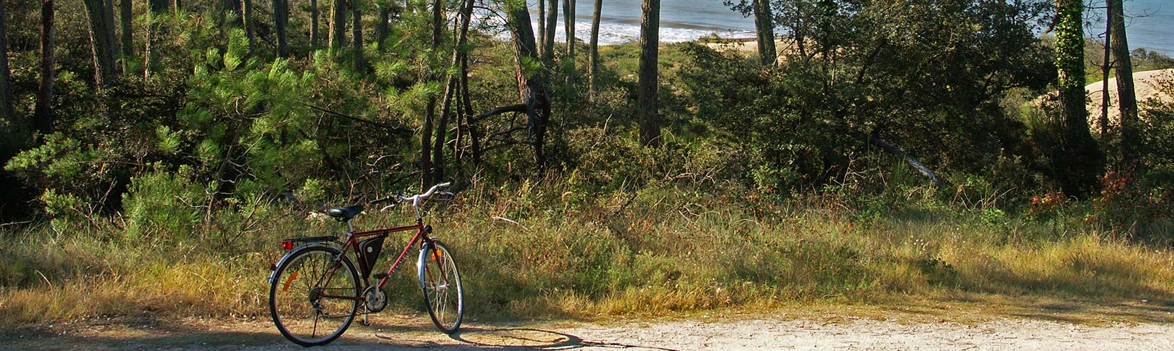 camping royan la palmyre 17 charente maritime